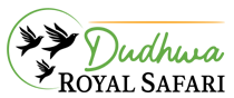 booking partner dudhwa royal safari